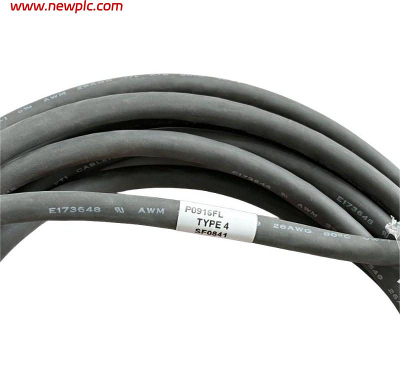 Foxboro P0916FL Termination Cable Foxboro P0916FL Termination Cable