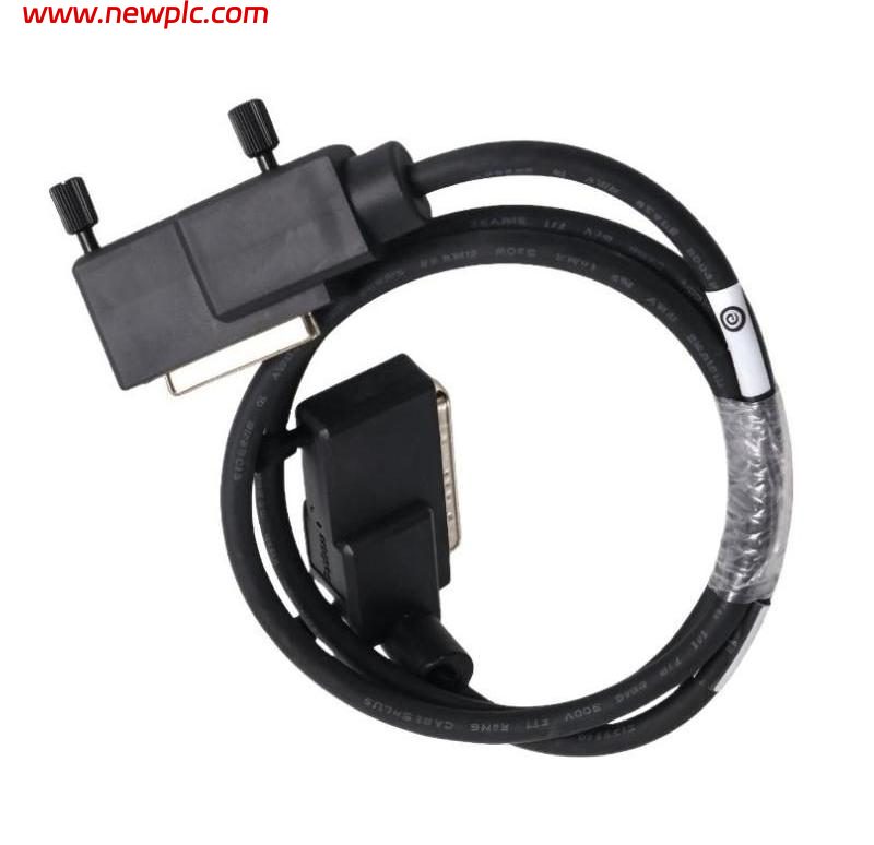 Foxboro P0923DG DC Input Terminal Block Cable