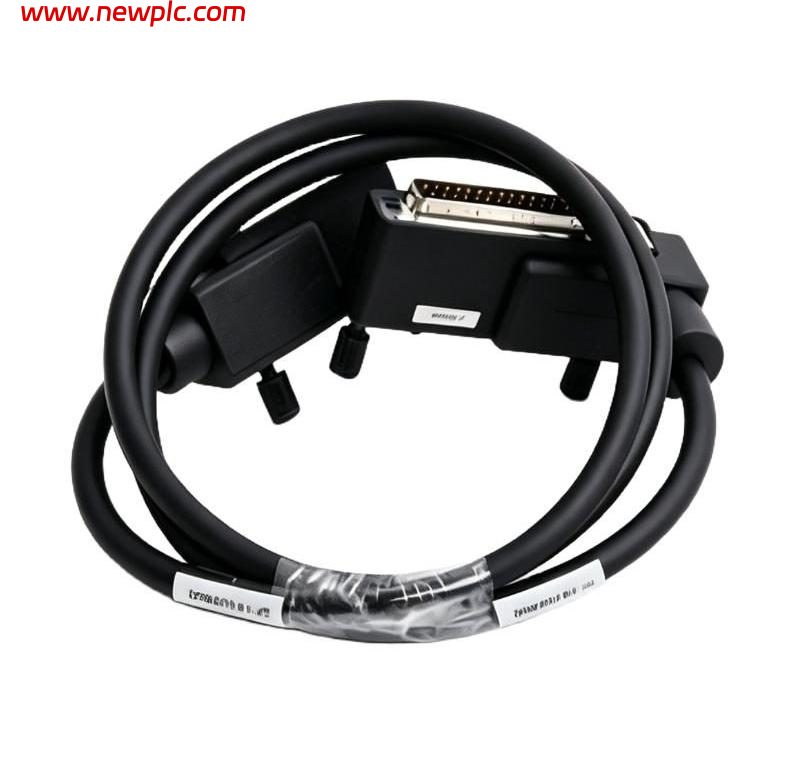 Foxboro RH916DG Termination Cable
