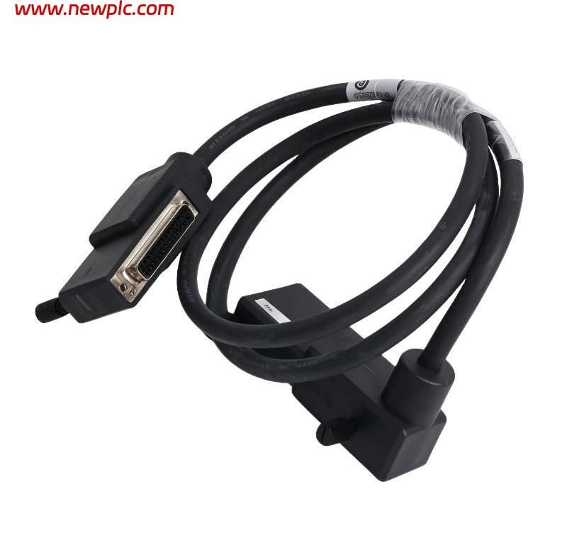 Foxboro RH923DG DC Input Terminal Block Cable