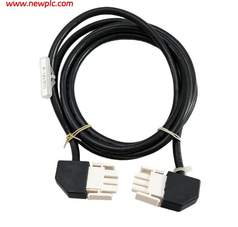 Foxboro RH926KQ Power Supply Output Cable