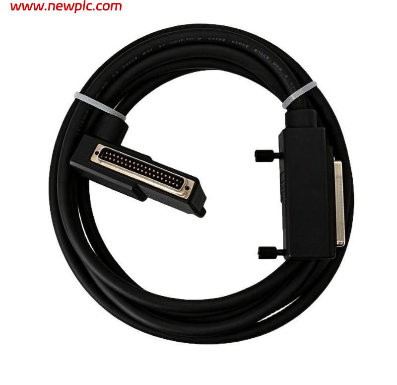 Foxboro RH928AW Termination Cable