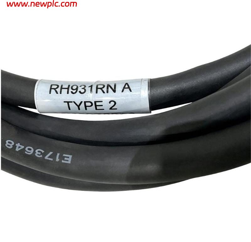 Foxboro RH931RN Termination Cable Foxboro RH931RN Termination Cable